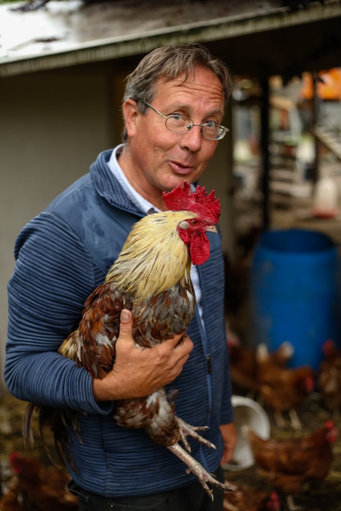 A portrait of a smiling man with glasses picks up a rooster with a bright red crest in his hands.