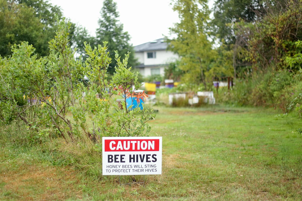A sign that reads “Caution: Bee Hives. Honey bees will sting to protect their hives.” There are some colourful hives in the background. To the left are some blueberry bushes.
