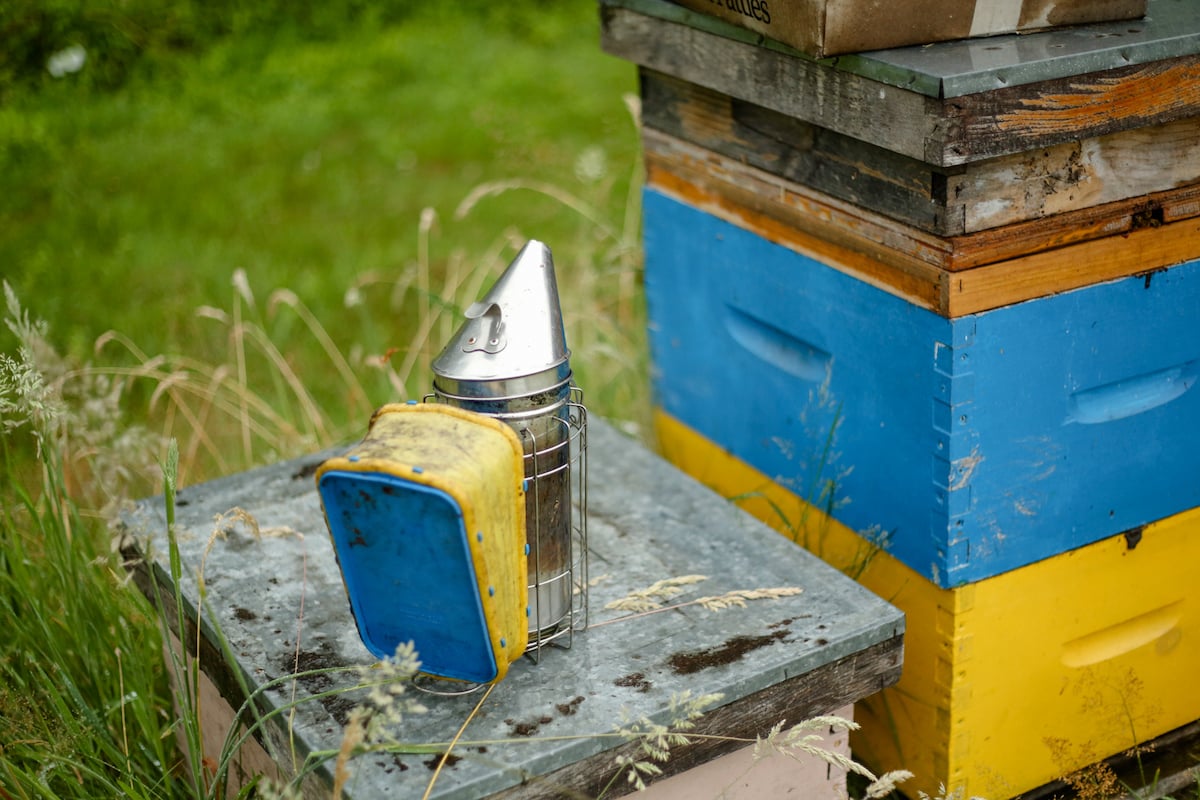 A metal bee smoker on top of a pile of colourful boxes that contain beehives.