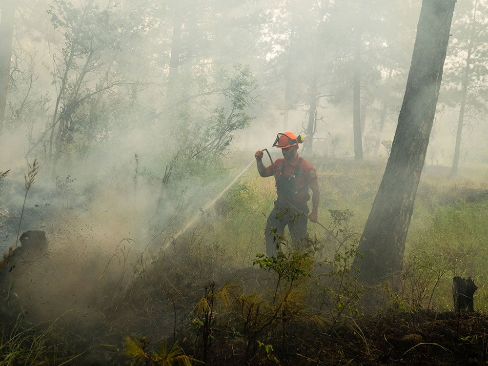 A firefighter wearing safety gear sprays water in a burned out, smoky forest.
