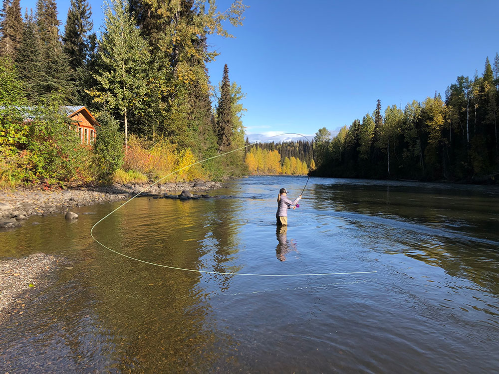 A woman stands in a river casting a fly-fishing rod. There is a cabin on the shore behind her.