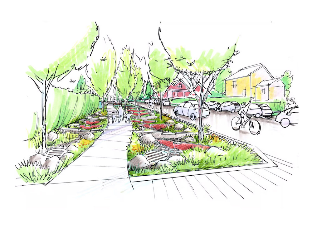 A sketch of vegetated, tree-lined waterway on a residential street with pedestrians and bikers.