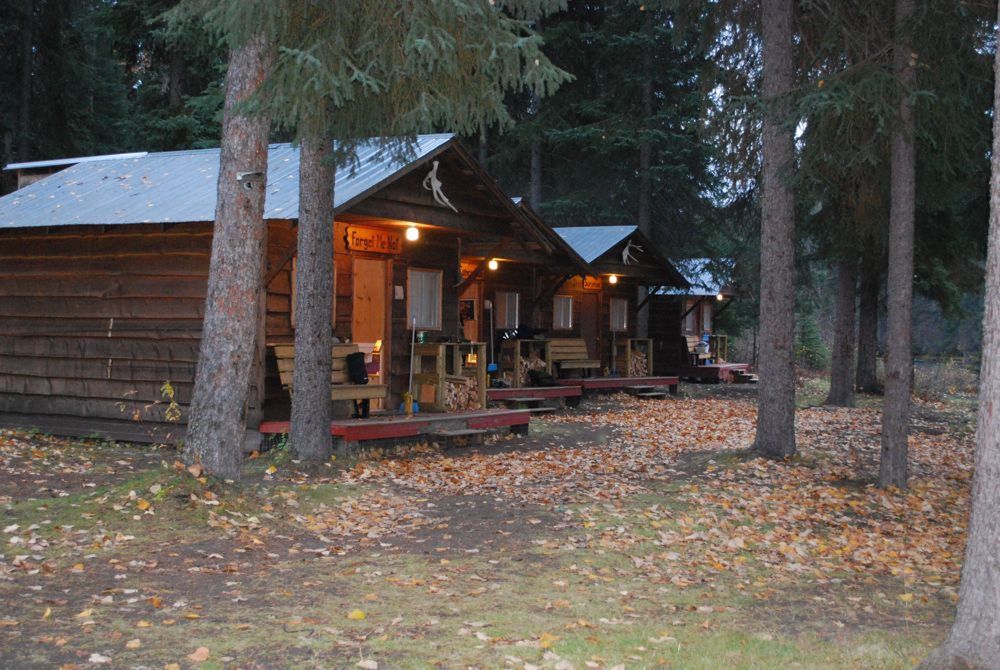 A row of cabins sit nestled in the forest. There are leaves on the ground.