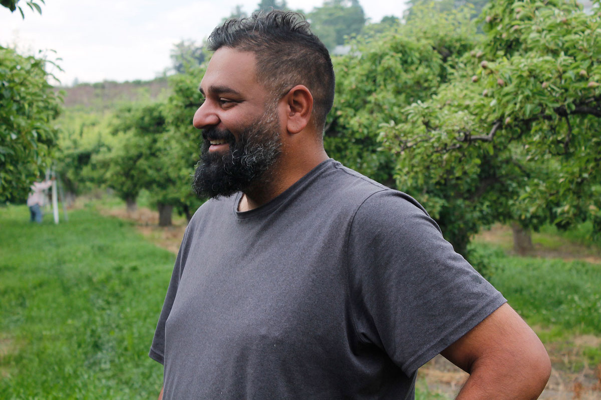 A man with a beard, wearing a grey T-shirt, stands in a field of pear trees.