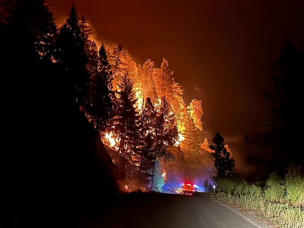 Burning trees cast yellow and orange light against the night sky, with an emergency vehicle’s blue and red lights in the foreground.