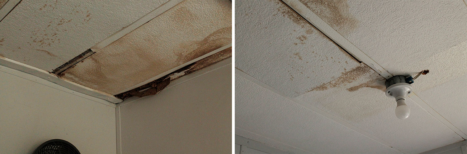 On the left, severe water damage is visible on a drop ceiling. On the right, water damage is visible around a lightbulb.