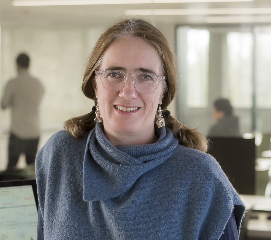 A woman wearing pigtails and a blue sweater with a large caul looks at the camera.