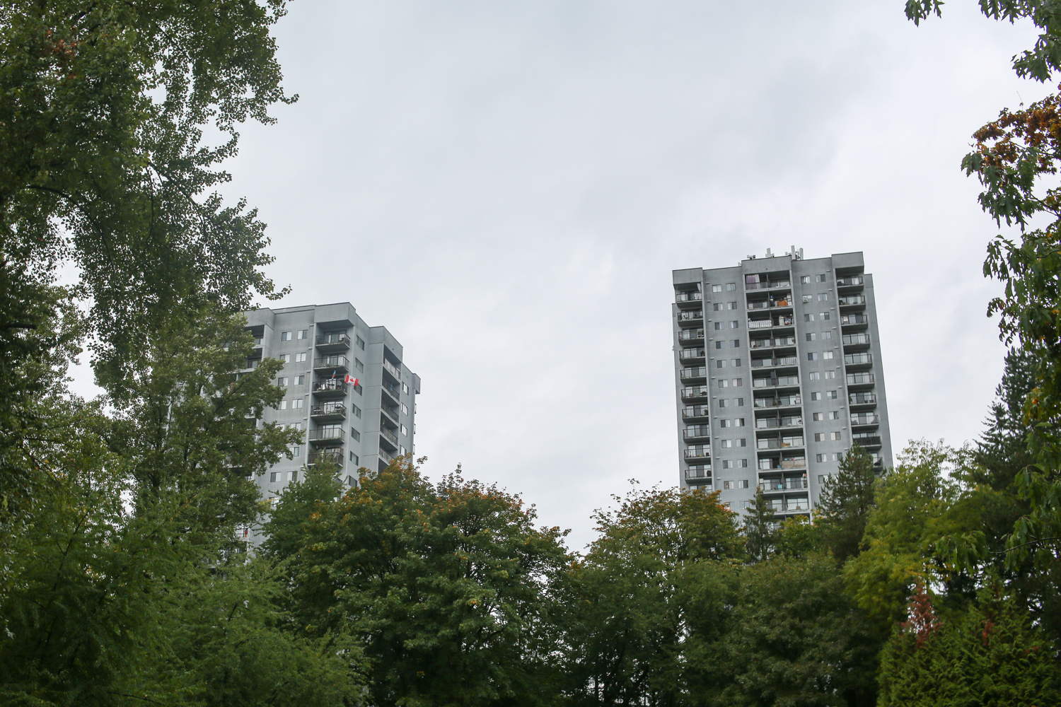 Two concrete towers, built in the early 1980s, rise up above a frame of trees. It’s a cloudy day.