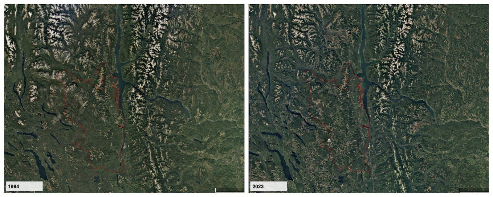 On the left, an area of land with a red border is pictured as fairly green and treed in 1984. On the right, the area within the border is far less green, and more denuded and grey.
