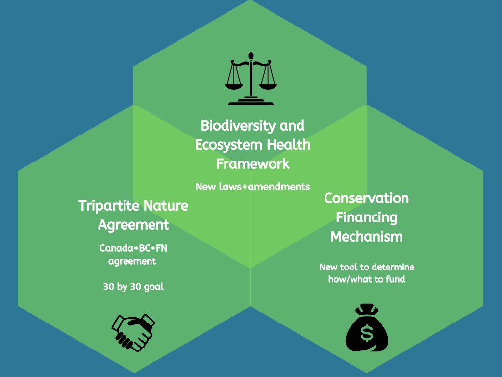 A Venn diagram shows the relationship between the Biodiversity and Ecosystem Health Framework, the tripartite nature conservation agreement and the conservation financing mechanism.