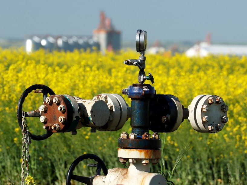 Piping and control wheels sit atop an old energy industry installation. The pipes are grey and red with some rust. They sit in front of a yellow field of canola.