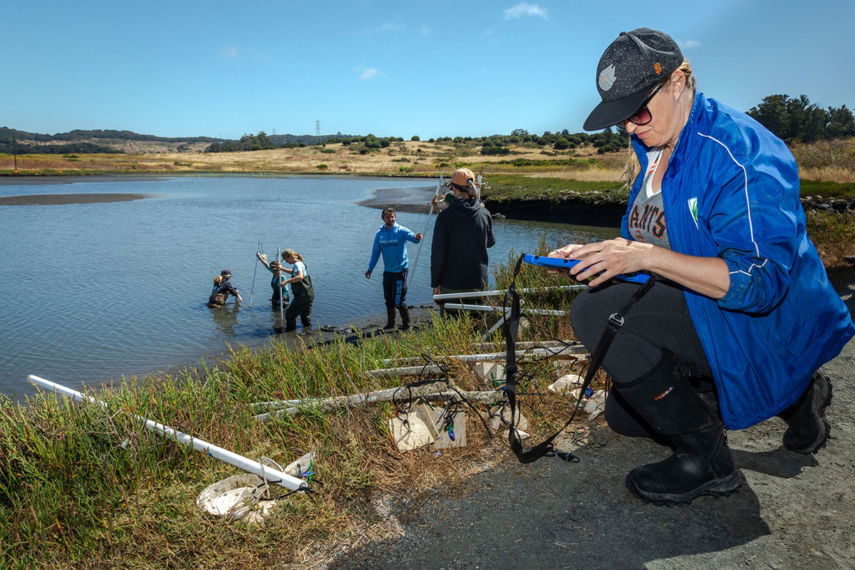 A woman crouches and interacts with an iPad. In the background, people pass each other oyster poles. Half are standing in the water, half just on shore.