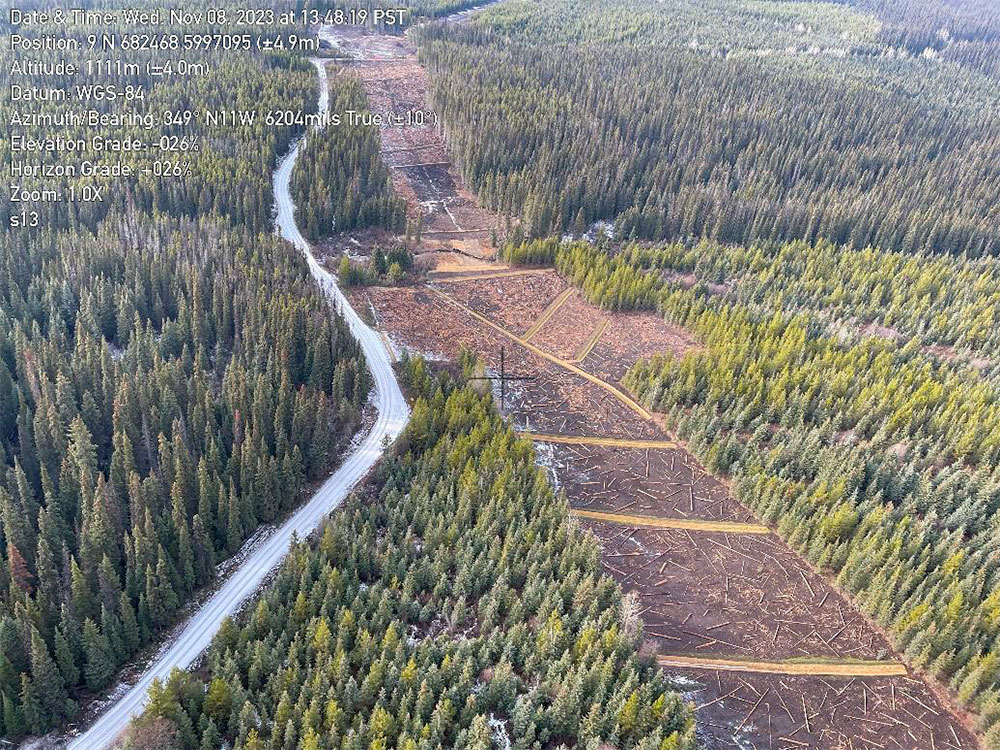 An aerial photo with forest on either side and a clear-cut area down the centre.