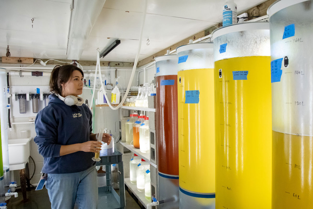 A woman wearing headphones, jeans and a sweatshirt examines four large clear cylinders full of yellow and red liquid in a laboratory setting.
