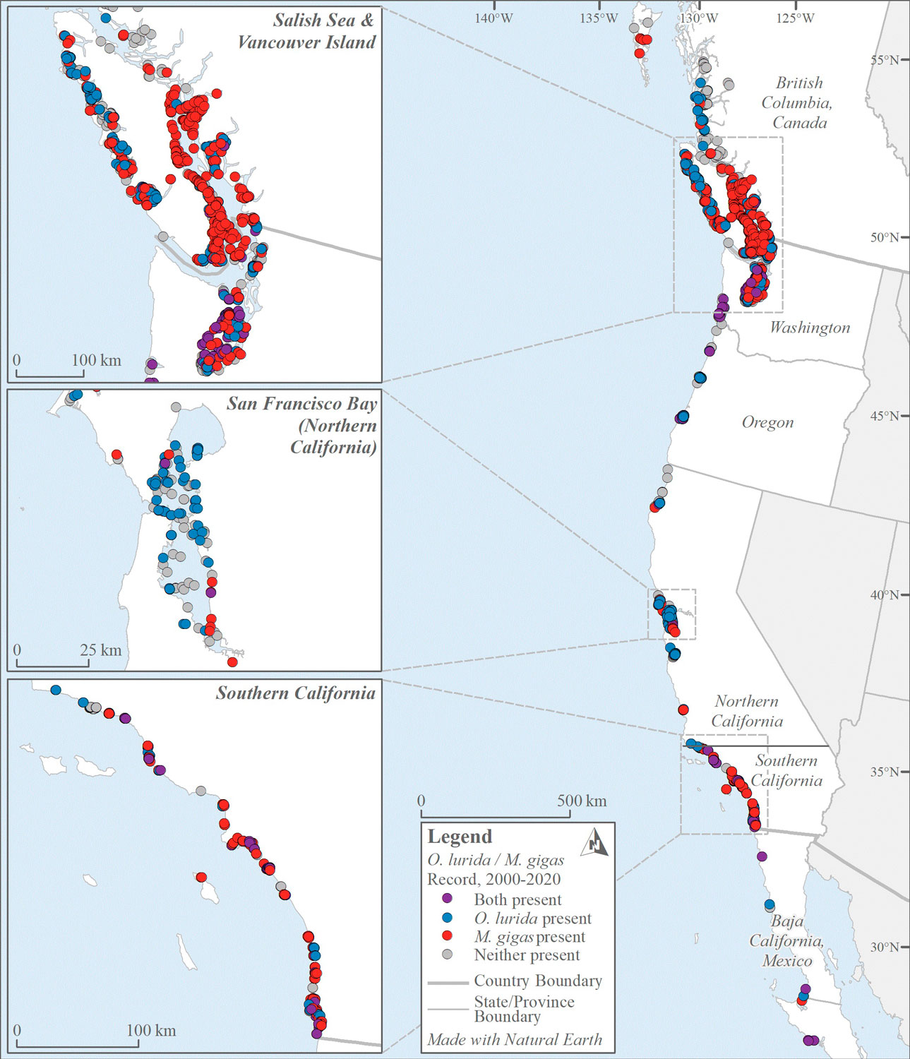Maps of the West Coast show where Olympia oysters and Pacific oysters are present. Pacific oysters are more prevalent.
