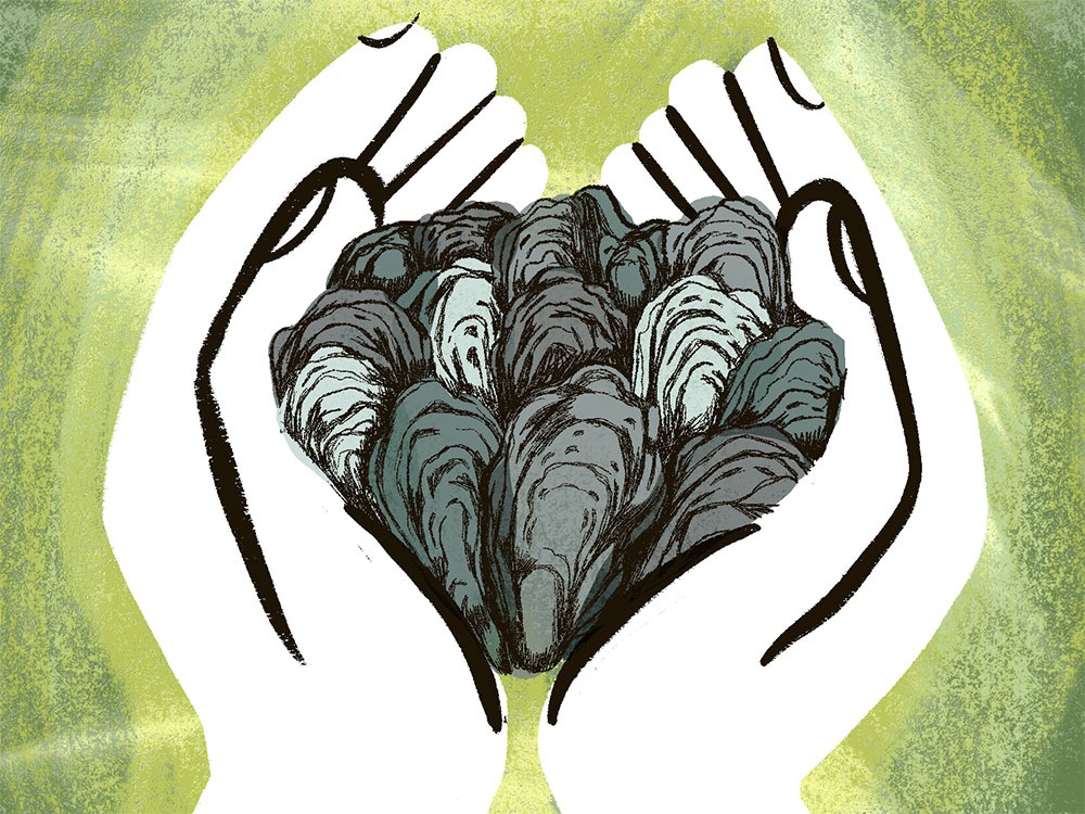 An illustration of two cupped hands holding oysters, against a speckled green background.