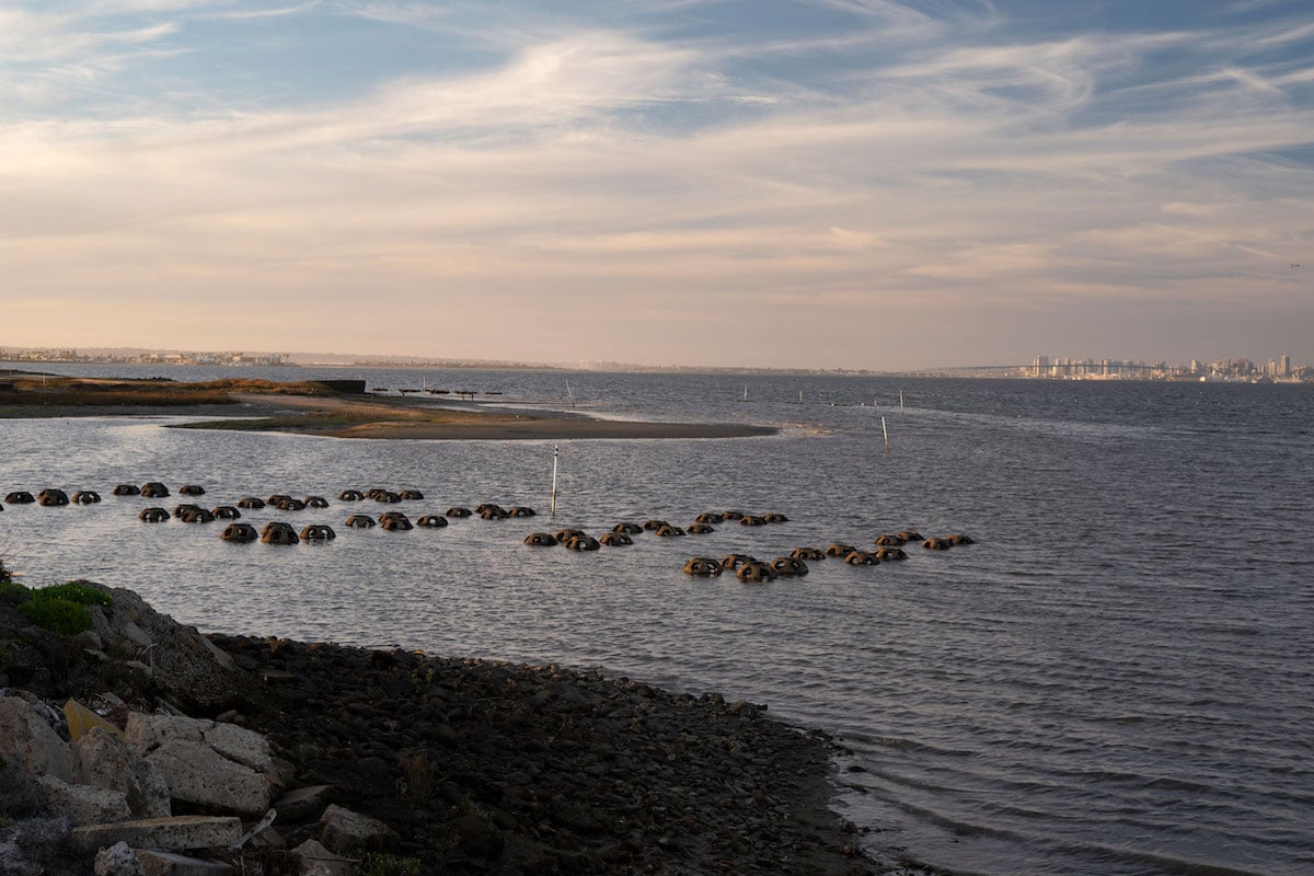 About 50 concrete spheres with evenly spaced holes are semi-submerged in water in an ocean bay.