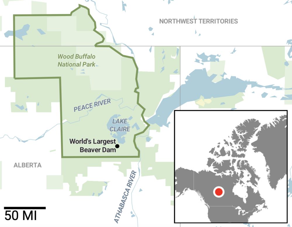 A map of the region between Alberta and the Northwest Territories that includes Wood Buffalo National Park, home of the world’s largest beaver dam.