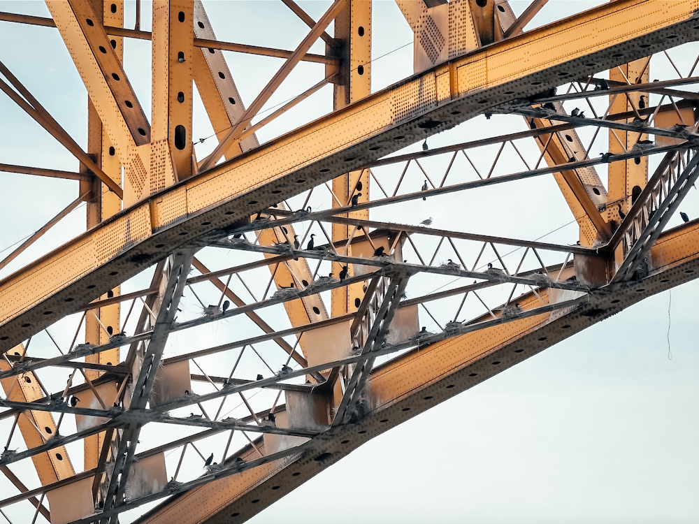 A telephoto shot of the underside of the bridge, revealing dozens of black birds nesting on the beams.