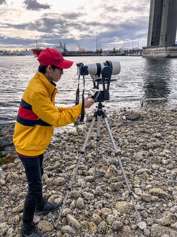A man with a yellow jacket and red cap presses buttons on a camera mount attached to the top of a tripod. There is a camera on top of the mount. He is standing on the rocky shore by the foot of a bridge on a cloudy day.