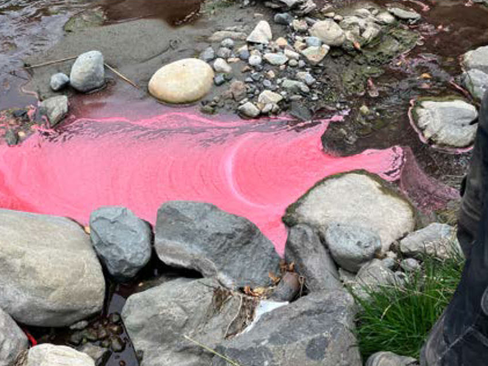A photo showing a bright pink spill among river rocks next to a creek.