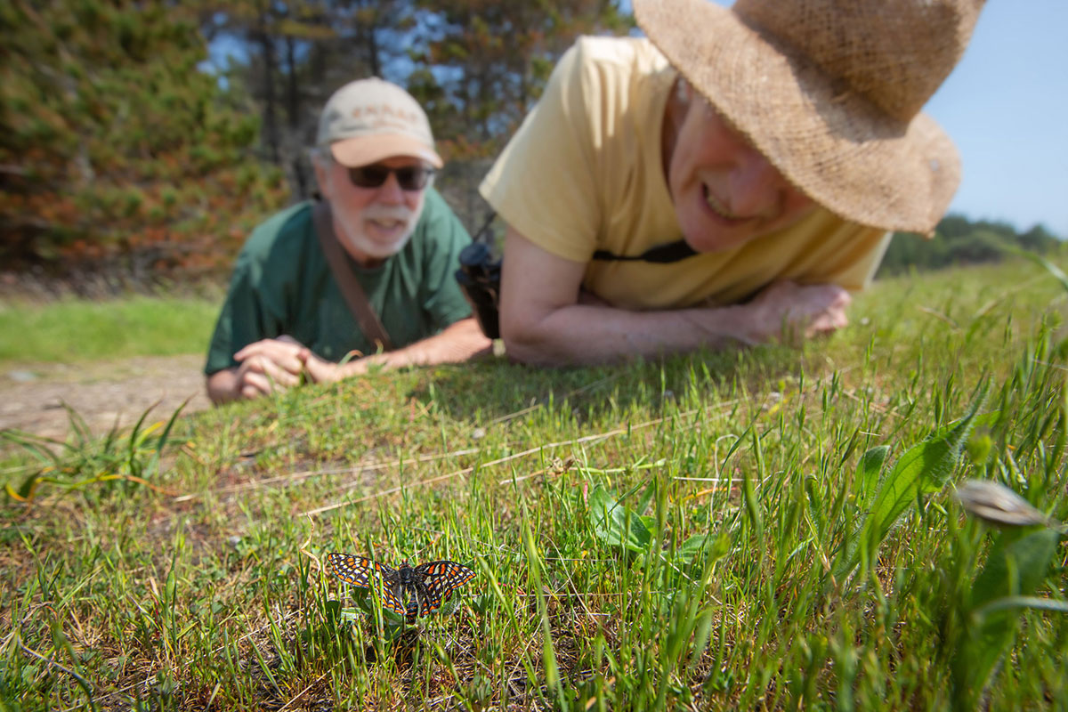 Two older white people wearing hats lay on their stomachs in the grass, examining something.