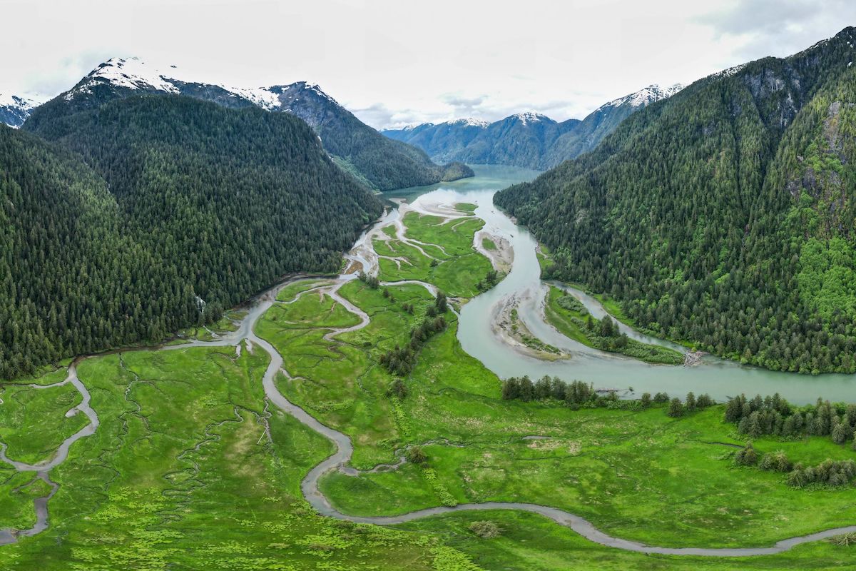A very lush green river delta bordered by mountains covered in evergreens.