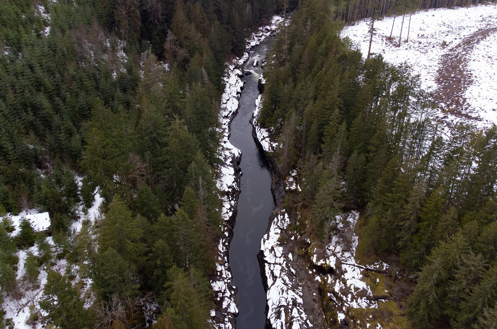 Overhead view of the river, with evergreen trees on the banks and light snow covering the ground.