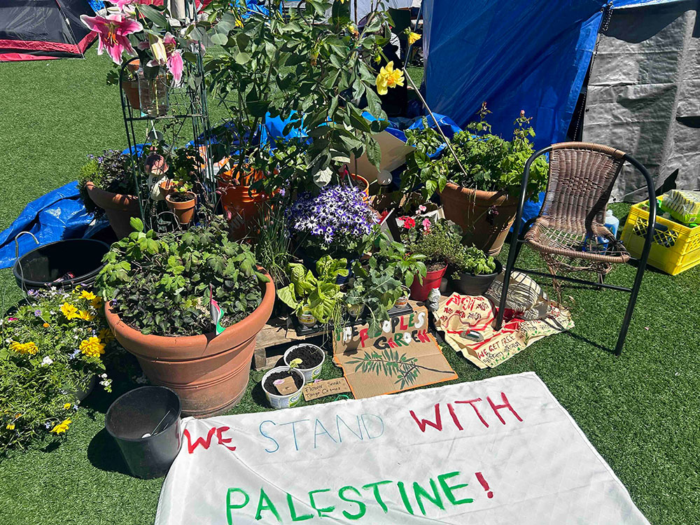 A small, lush container garden is arranged on an astroturf surface in front of a handmade white banner that says 'Free Palestine.'
