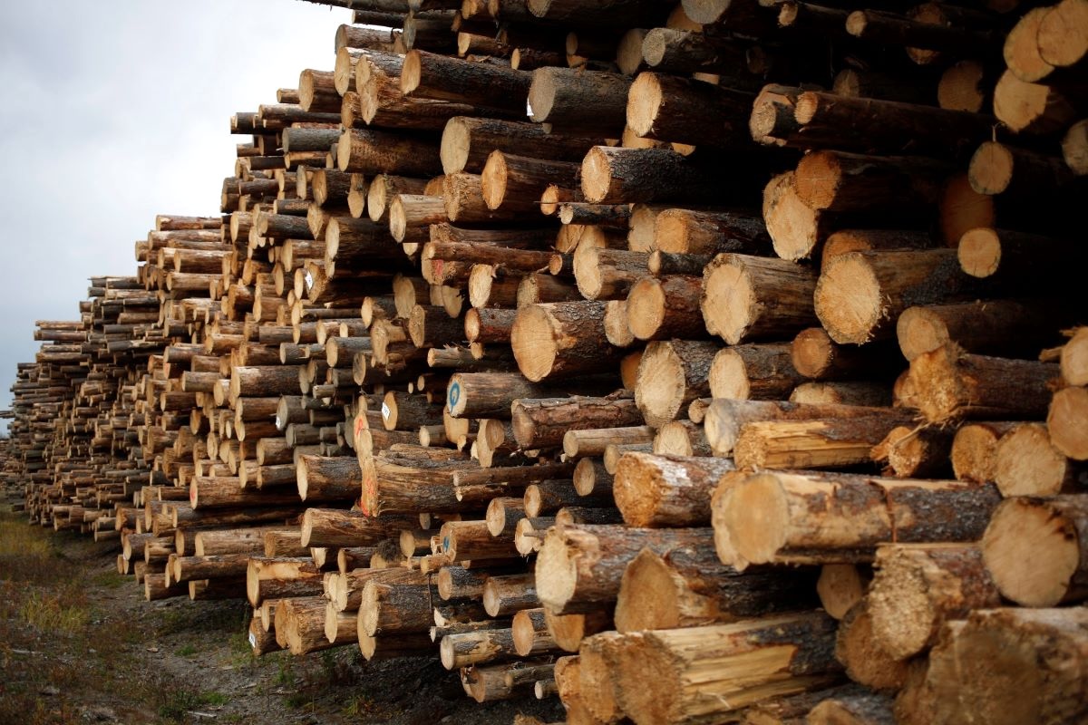 Logs are tightly stacked together at a sawmill on a grey day.