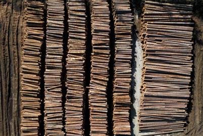 How Will the Parties Help BC Forest Workers?