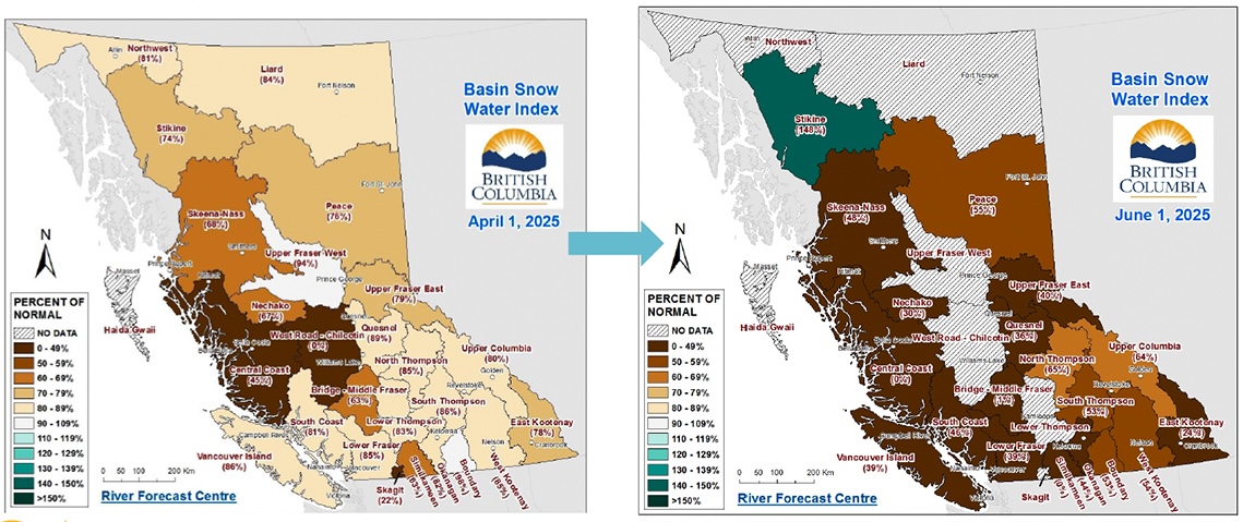 Two maps show the province of B.C. The map on the left, dated April 1, shows a dark brown patch in the centre of the province, indicating less than 49 per cent of normal snowpack. The map on the right, dated June 1, shows dark brown across most of the map’s lower half.