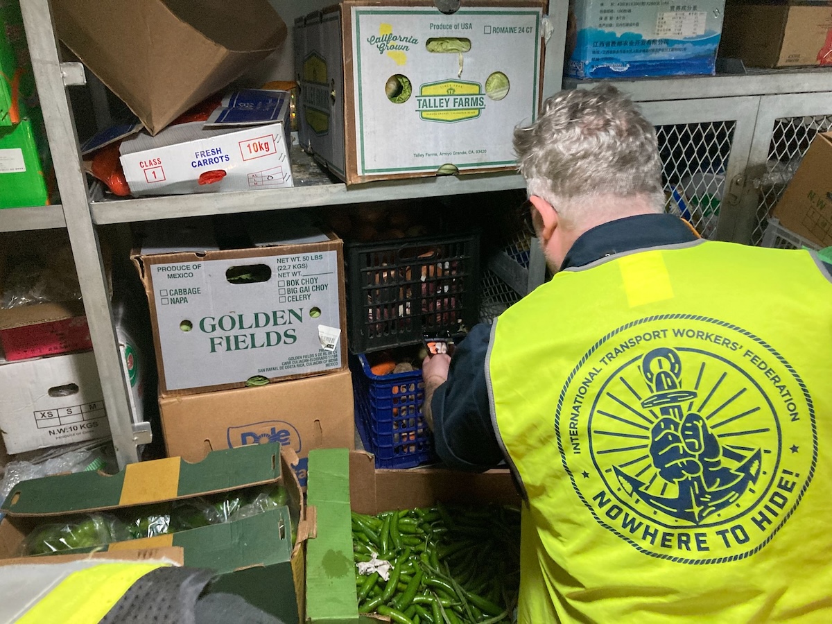 A grey-haired man with his back to the camera inspects boxes of produce in a crowded storage room. He is wearing a yellow vest that says, ‘International Transport Workers’ Federation. Nowhere to hide!’