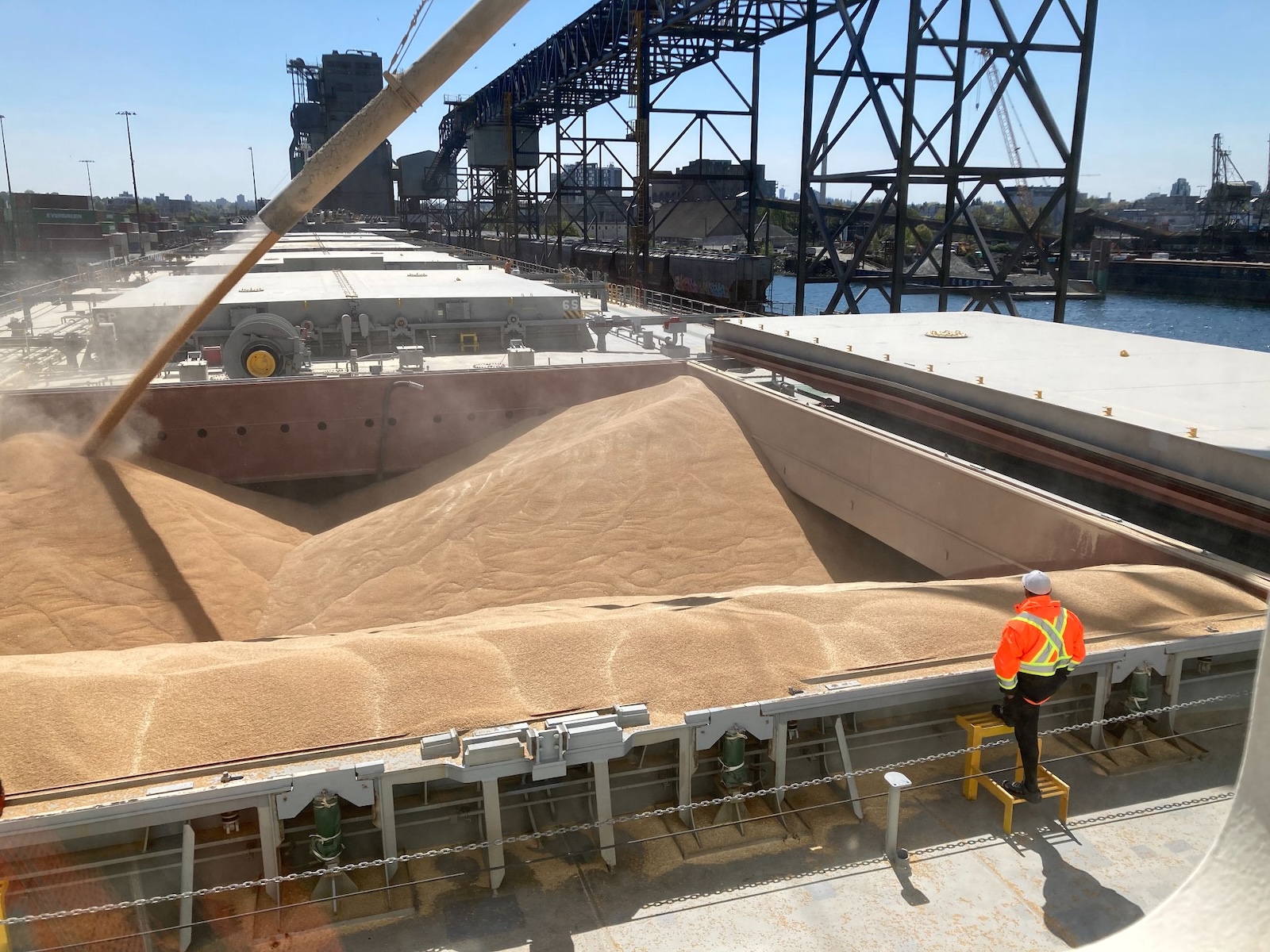 Golden grain spills from a chute into a nearly full holding area of a cargo ship, as a person in a hard hat and orange high-vis jacket looks on.