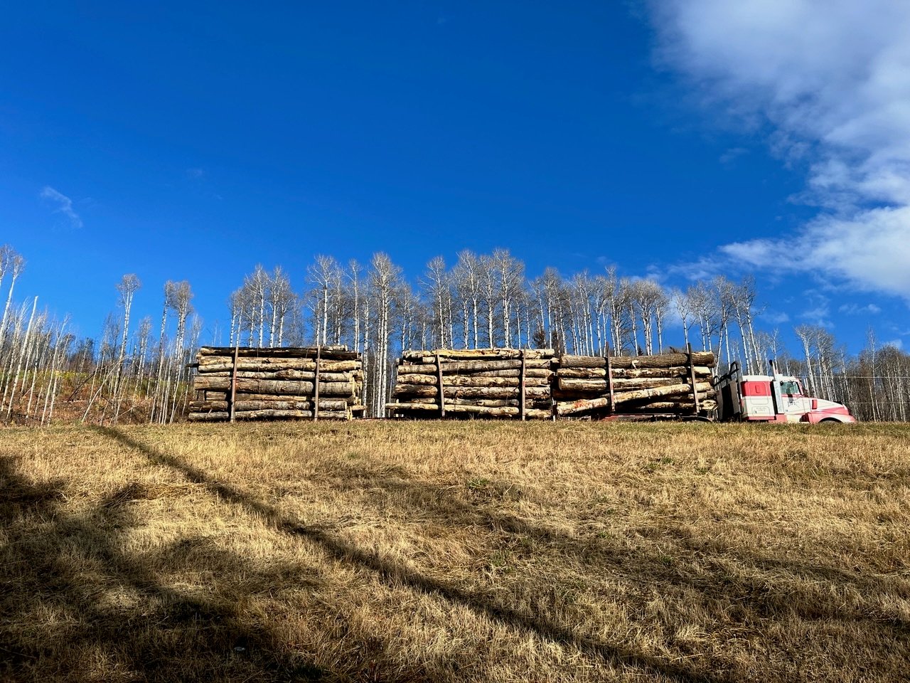 A logging truck loaded with logs.