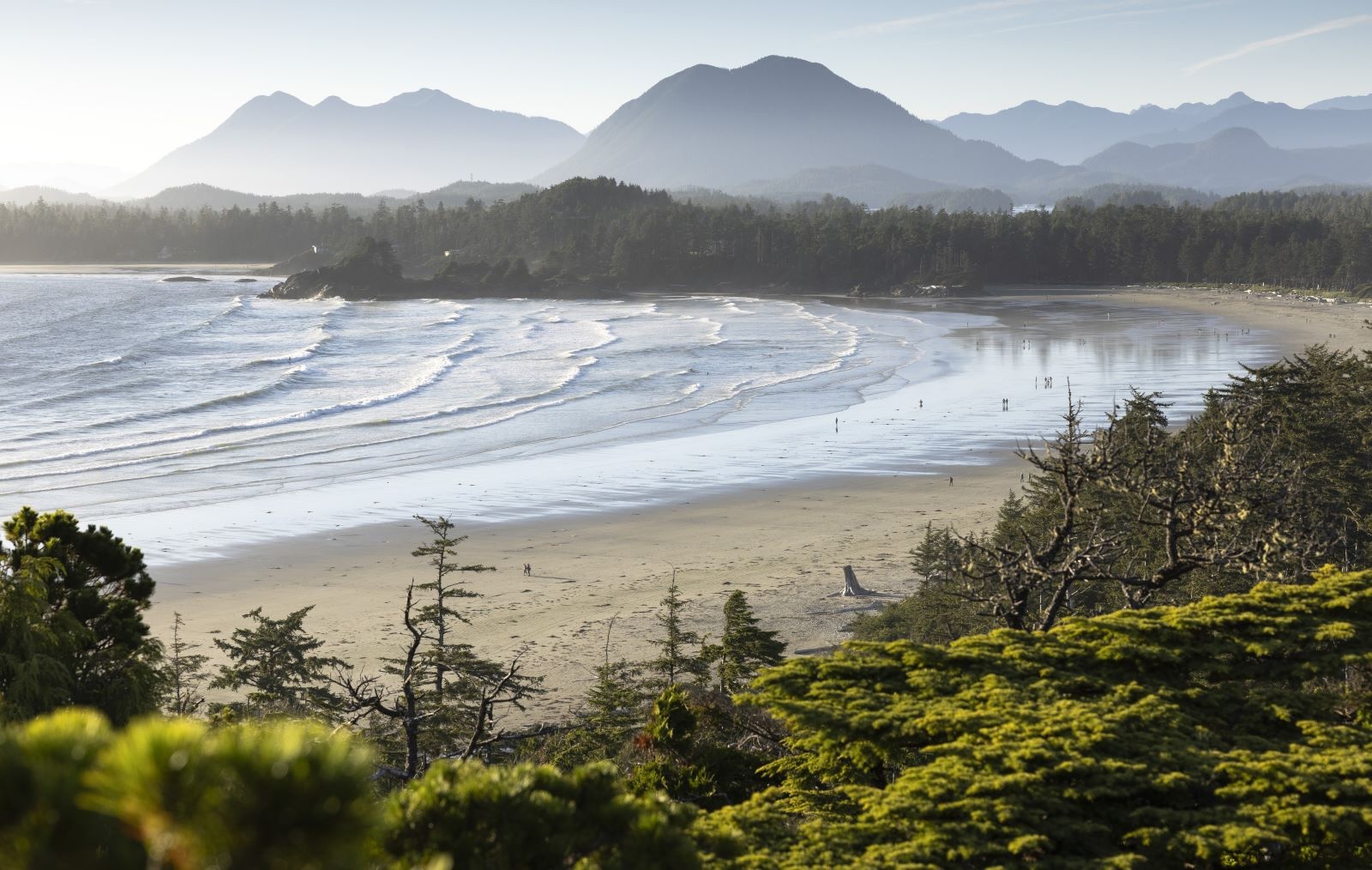 A crescent-shaped west coast beach, with coastal vegetation in the foreground and mountains in the background.