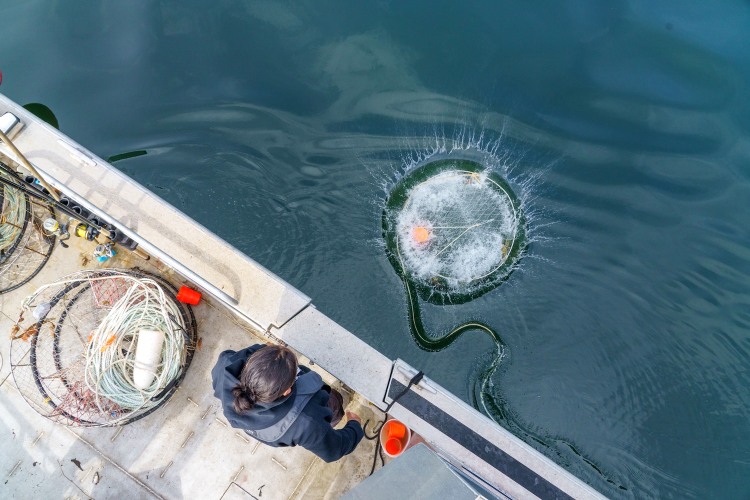 An aerial photo of a young man dropping a crab trap into the water off the side of a boat.