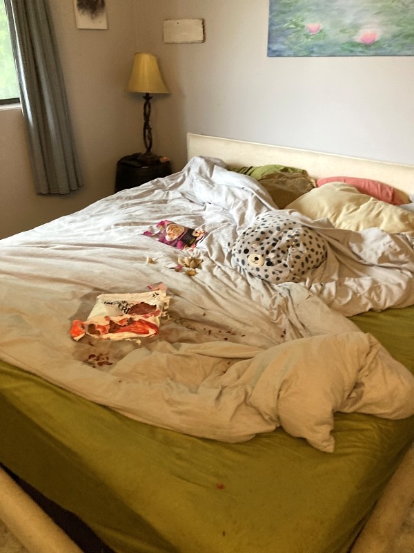 A bed is in disarray, with the sheets rumpled and food stains.
