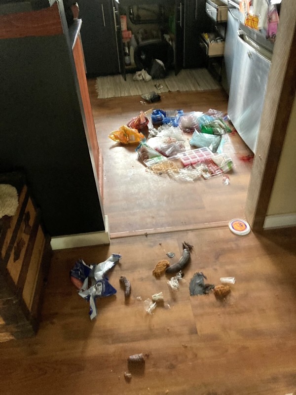 Food, ice cube trays and wrappings are scattered on a kitchen floor beside a refrigerator.