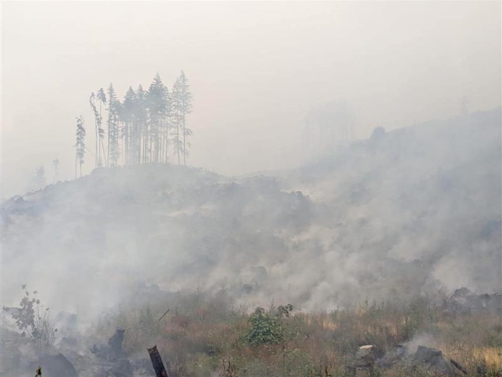 BC’s Coastal Fires Have Entered a New Era | The Tyee