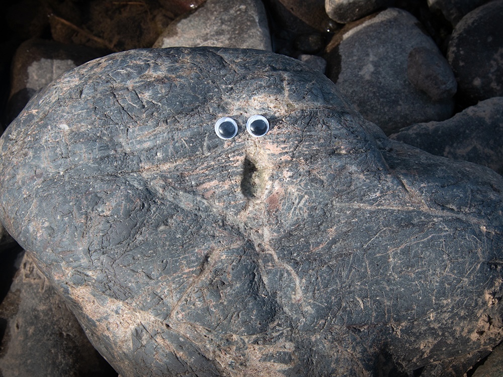 A dark grey rock with googlie eyes above a round divot that looks like a mouth.