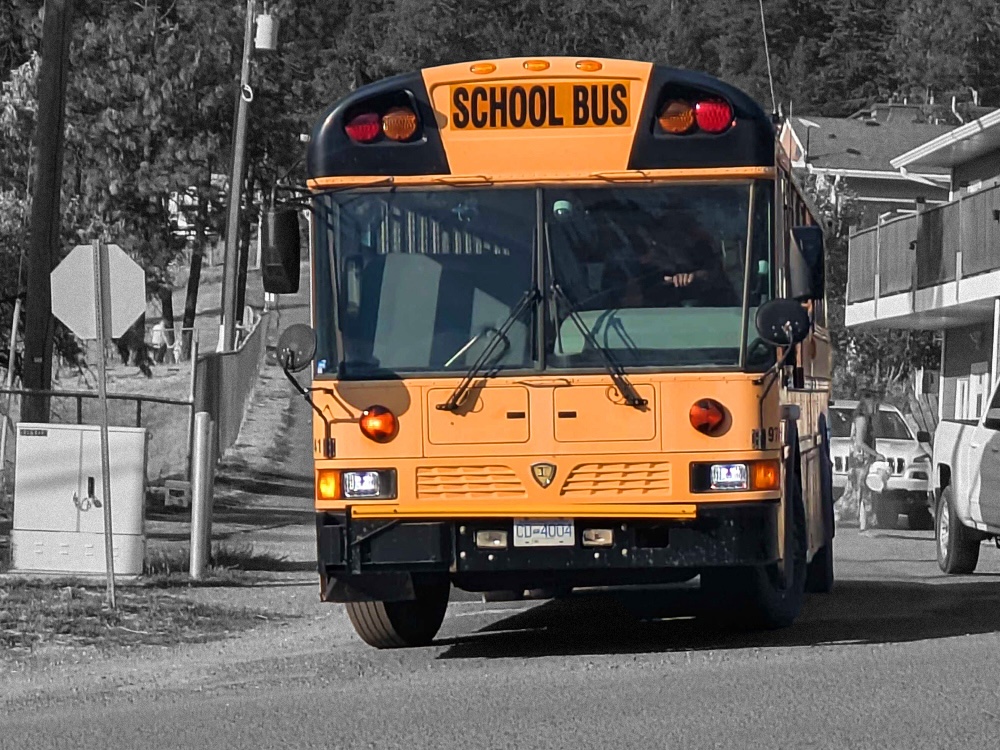 A yellow school bus comes down the road. The neighbourhood background has been rendered in black and white.