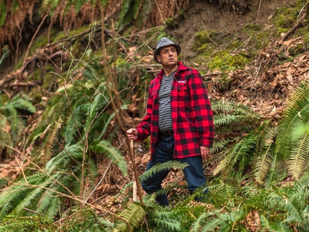 A man with medium skin tone wearing a grey fedora and a red and black flannel shirt and jeans stands among ferns in the forest.