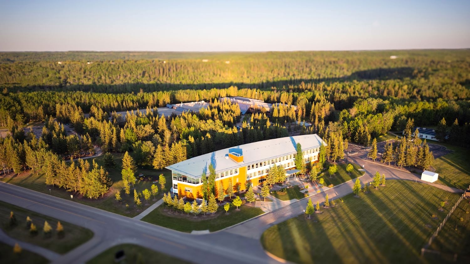 An aerial photo shows green forests and a university building.