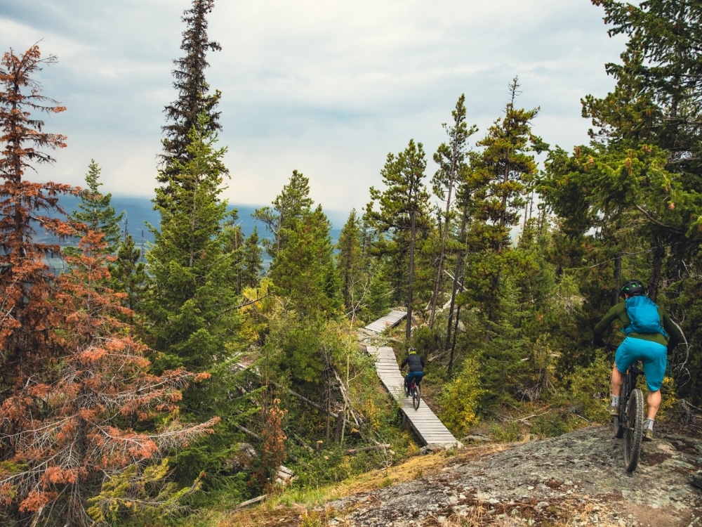 A mountain bike trail featuring a boardwalk through a dense coniferous forest.