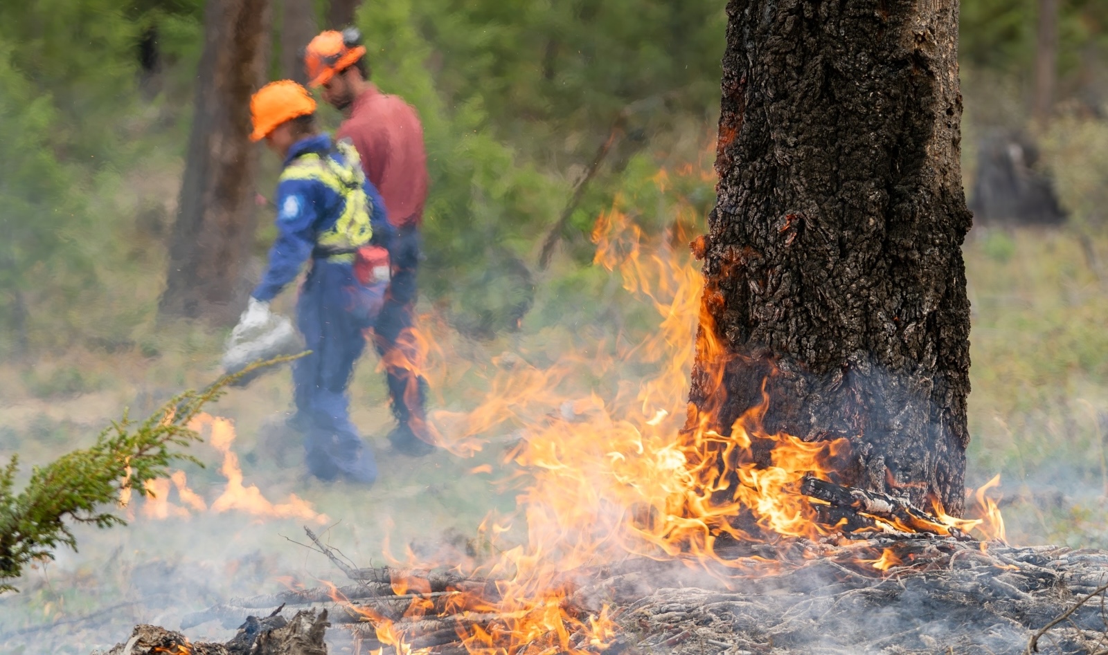 Wood burns in the foreground with orange flames visible. Two wildfire workers wearing orange helmets can be seen in the background, blurred by the heat of the fire.