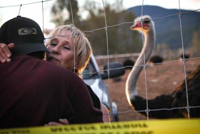 How the Ostrich Farm Cull Has Unleashed Threats of Violence