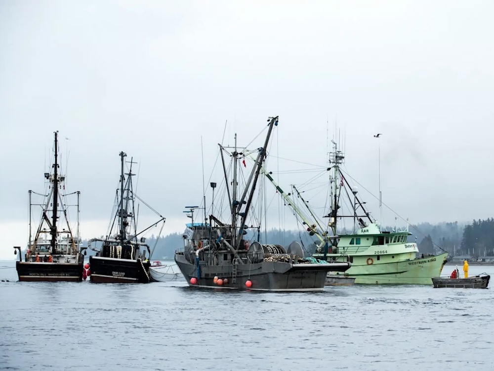 ‘We Are Going to Fight to Save the Herring’
