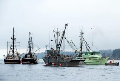 ‘We Are Going to Fight to Save the Herring’
