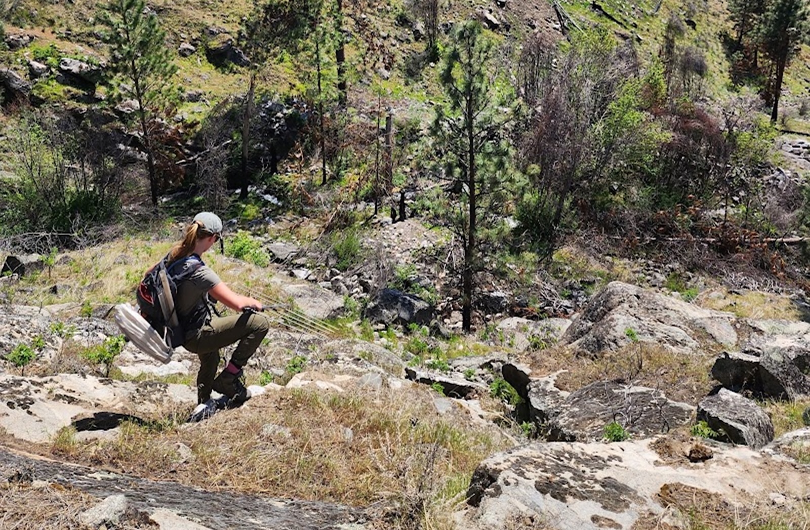 A woman wearing a backpack, pants and a T-shirt, with her hair in a ponytail, makes her way down a rocky slope. The trees and shrubs in the landscape are small and charred.